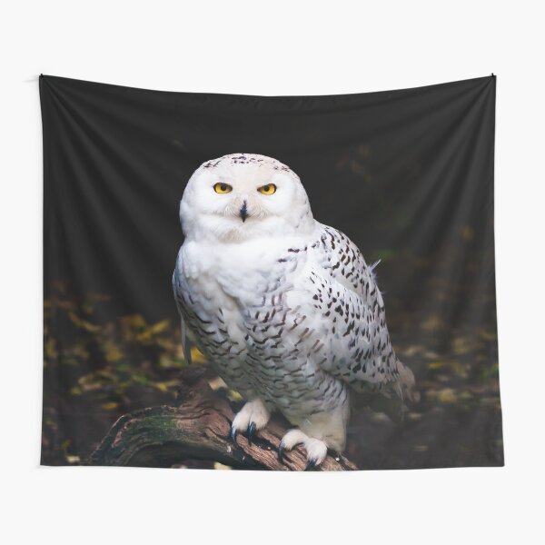 Majestic winter snowy owl Tapestry