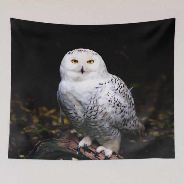 Item preview, Majestic winter snowy owl designed and sold by Patrik Lovrin.