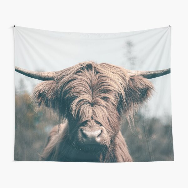 Highland cow portrait Tapestry