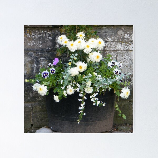 Item preview, Planter designed and sold by ElsT.