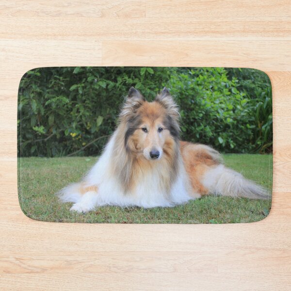 Item preview, Sable Rough Collie designed and sold by KarenWoodArt.