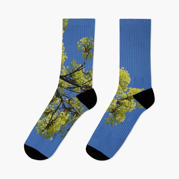Item preview, Flowering tree against a blue sky designed and sold by Boscastle.