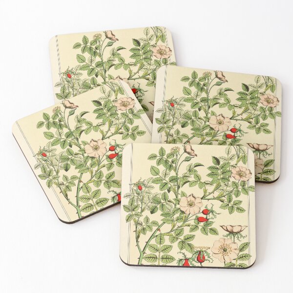 Item preview, French botanical flower plate - Maurice Verneuil - Eglantier designed and sold by DejaVuStudio.