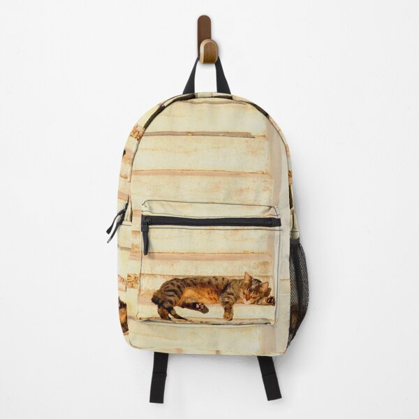 Item preview, The sun shines on all cats equally designed and sold by Anna Lemos.