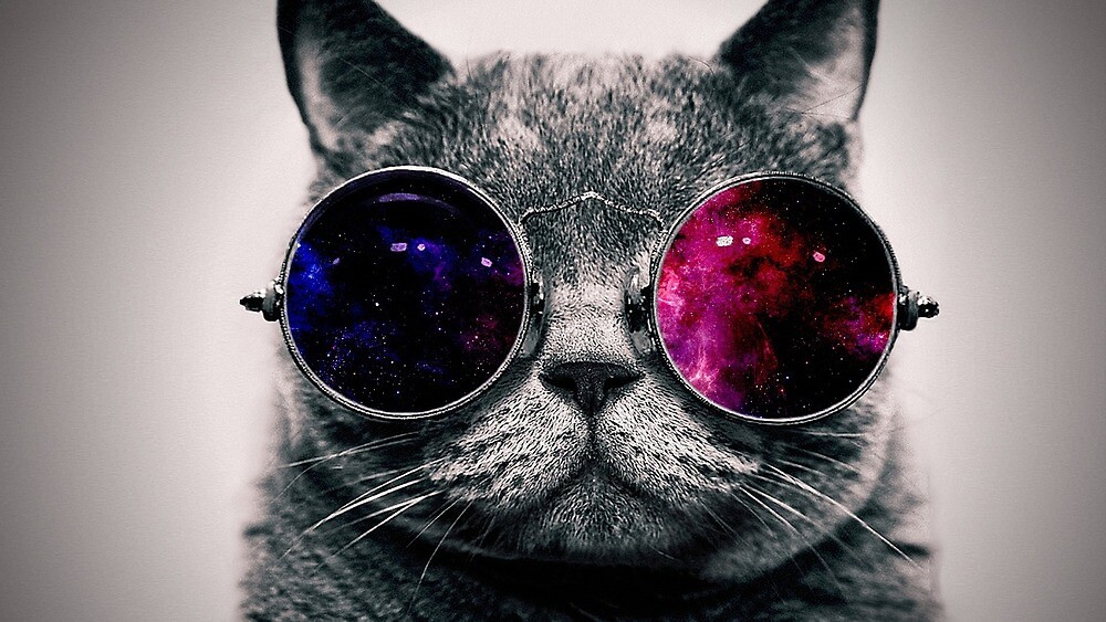 Verres De Chat Gris De Galaxie Par Dastirdtv Redbubble