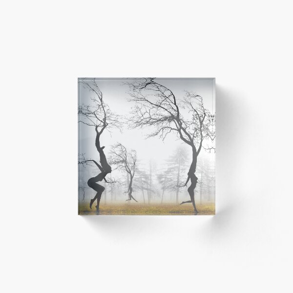 In The Mist Acrylic Block