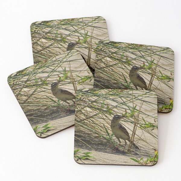 Item preview, Richard's Pipit on Sand designed and sold by tomeoftrovius.