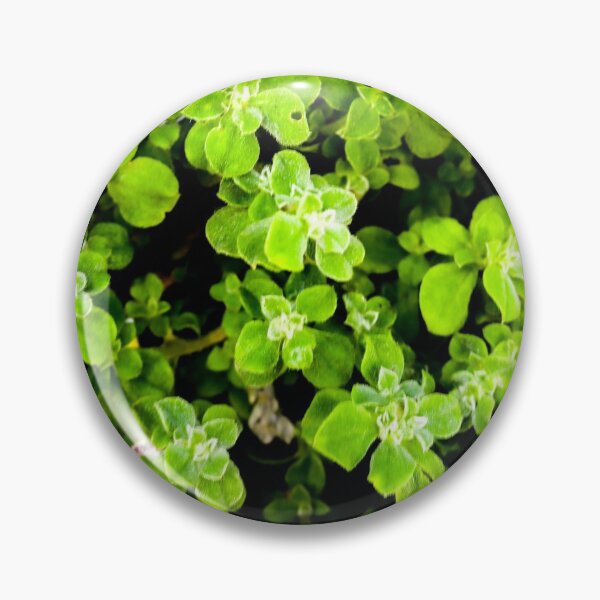 Item preview, Decorative Green Garden Leaves designed and sold by Marguerite Faure.