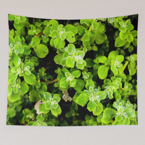 Item preview, Decorative Green Garden Leaves designed and sold by Marguerite Faure.
