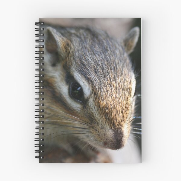 Item preview, Chipmunks designed and sold by Hannah Marco.