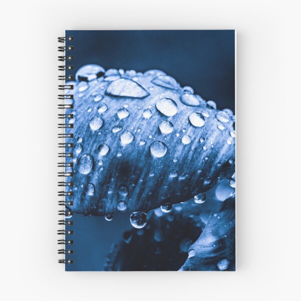 Item preview, After The Rain I designed and sold by SunDwn.