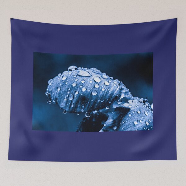 Item preview, After The Rain I designed and sold by SunDwn.