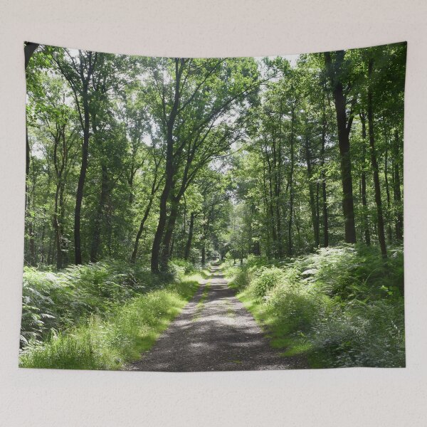 Item preview, Forest landscape designed and sold by Linnys-Designs.