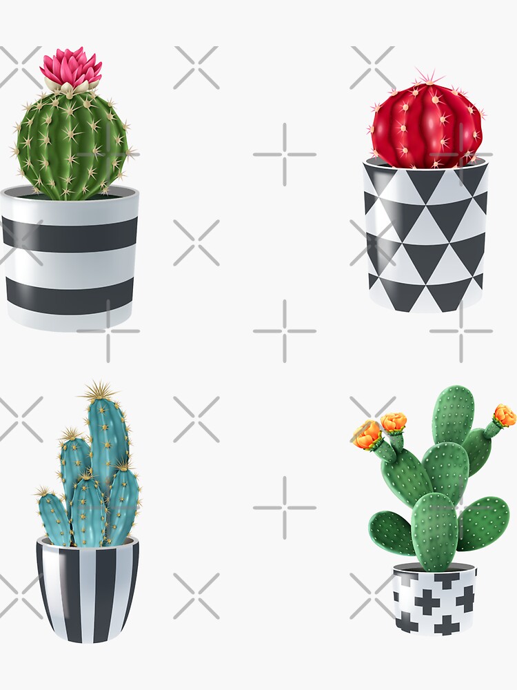 Cactus Variety Garden Pack by mr-var