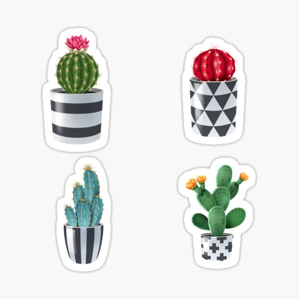 Cactus Variety Garden Pack Sticker