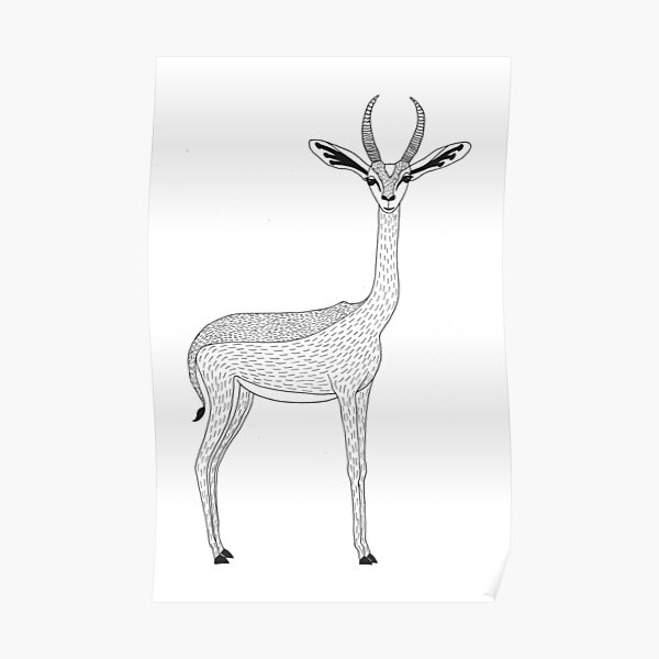 Gerenuk (ink illustrations of weird animals that are real) Poster