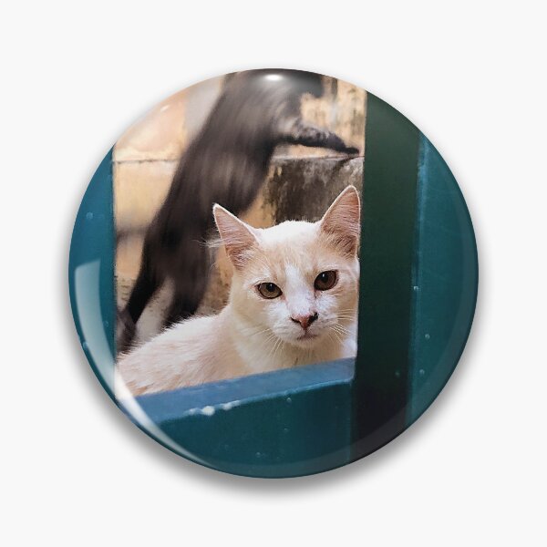 Item preview, Cat in Greece designed and sold by petrosdeme.