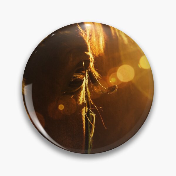Item preview, Evening Flare Animal / Horse Photograph designed and sold by PIPAArtHomeDeco.