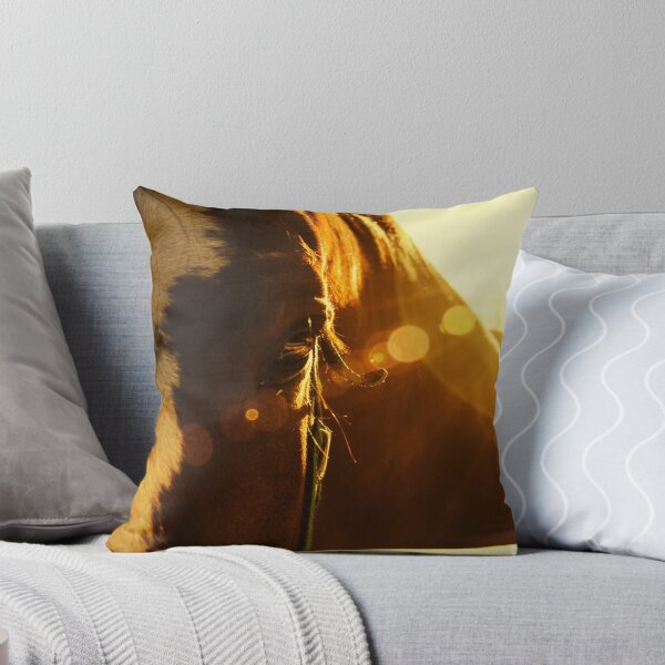Item preview, Evening Flare Animal / Horse Photograph designed and sold by PIPAArtHomeDeco.