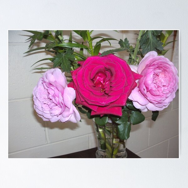 Item preview, Rose trio designed and sold by AmandaWitt.