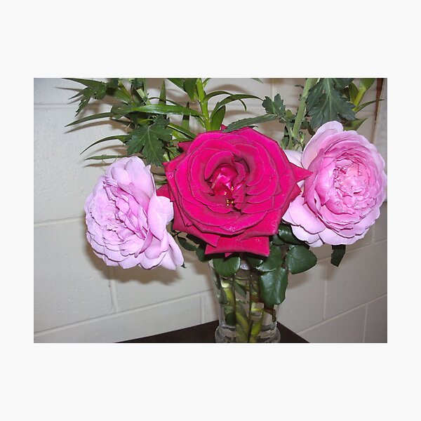 Item preview, Rose trio designed and sold by AmandaWitt.