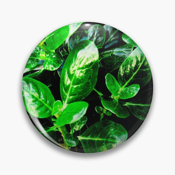 Item preview, Beautiful Green Leaves in Nature designed and sold by Marguerite Faure.