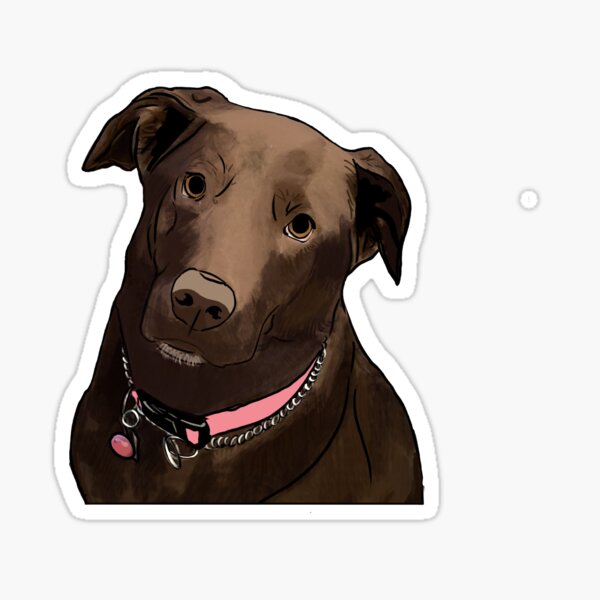 Hundehalsband Geschenke Merchandise Redbubble