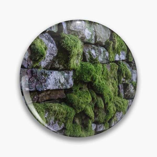 Item preview, Moss on a stone wall designed and sold by iCimages.net.