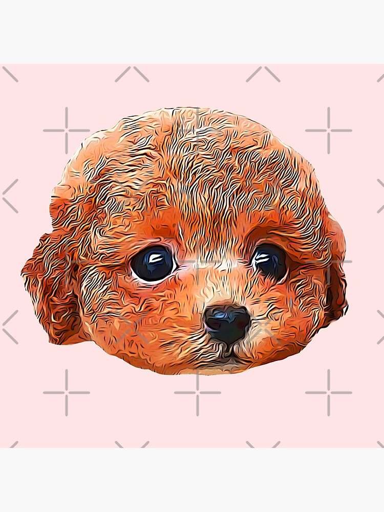 Toy Poodle Gorgeous Mini Dog Teddy | Art Board Print