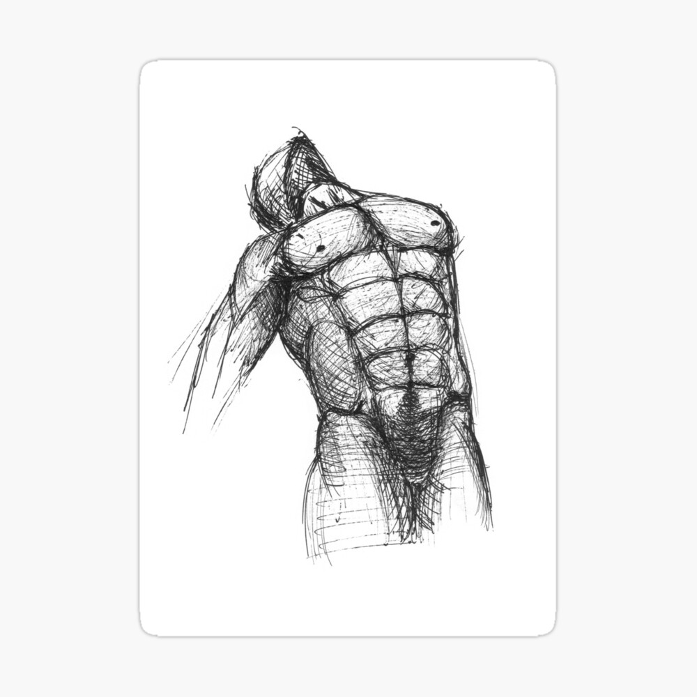 Naked male torso drawing