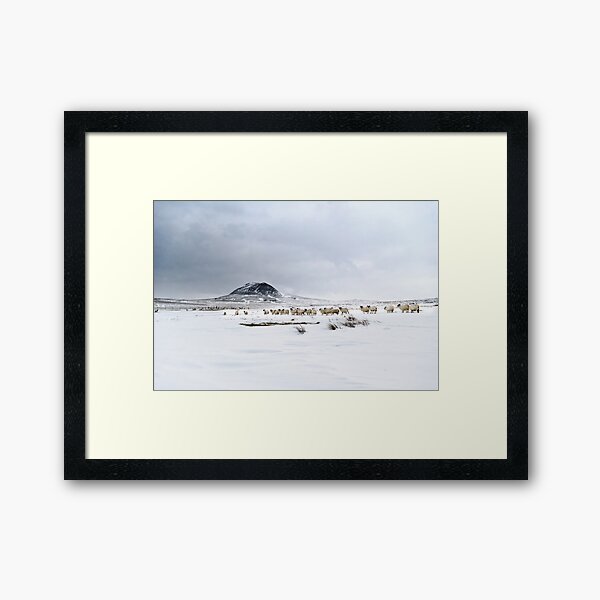 Slemish muntain , Ulster , Co Antrim , United Kingdom Framed Art Print