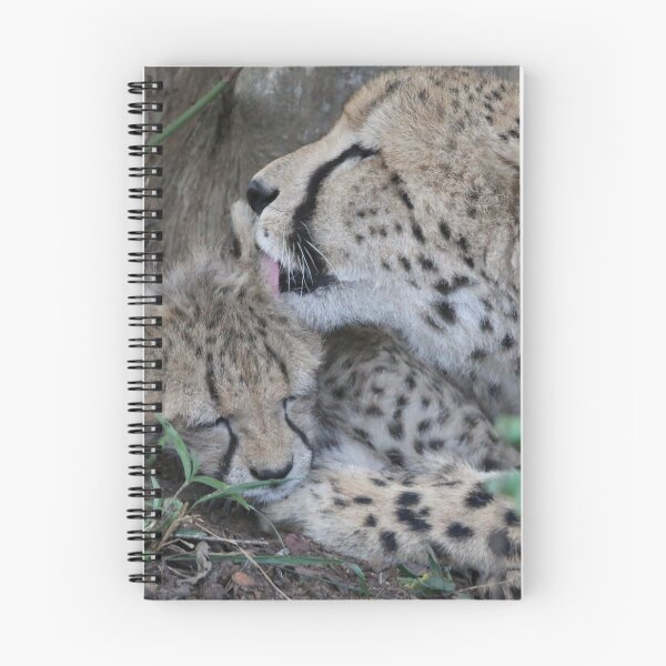 Item preview, Cheetah Mum and Cub designed and sold by LensIntoAfrica.