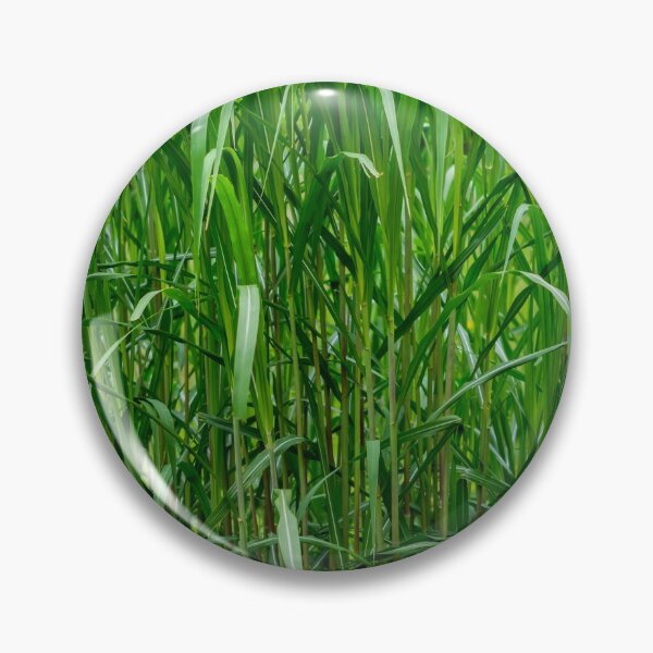 Item preview, Green Grass designed and sold by iCimages.net.