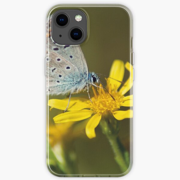 Polyommatus Icarus | Butterfly iPhone Soft Case
