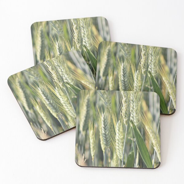 Item preview, Barley field designed and sold by Hubiundhubi.