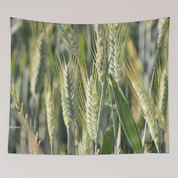 Item preview, Campo de cebada designed and sold by Hubiundhubi.