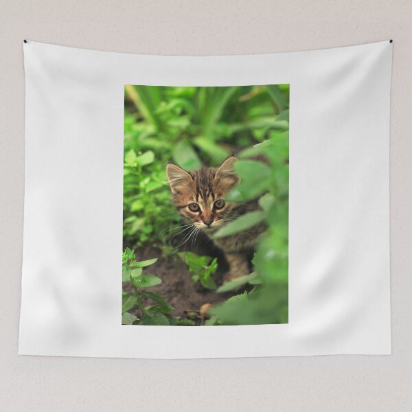 Item preview, Portrait of grey kitten on nature background designed and sold by olena2552.