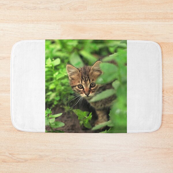 Item preview, Portrait of grey kitten on nature background designed and sold by olena2552.
