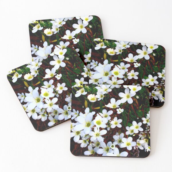Item preview, That little white flower  designed and sold by Sweetairhead.