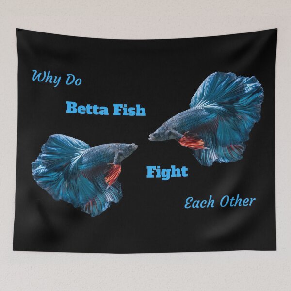 Item preview, Betta fishes fight designed and sold by KellyJanosko-bd.