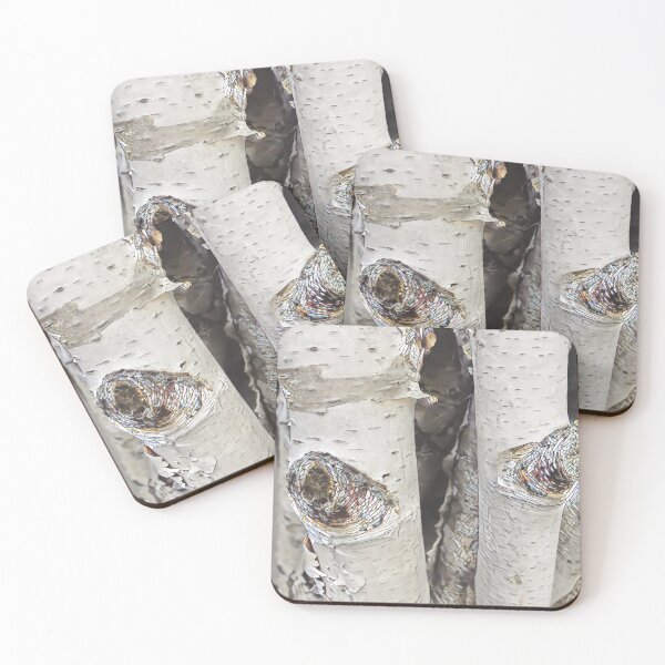 Item preview, The love of birch designed and sold by lakegirldesignco.