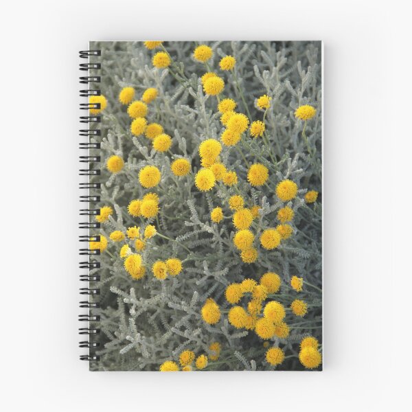 Item preview, Cotton lavender medicinal silver herb garden	 designed and sold by EstelleRossetti.