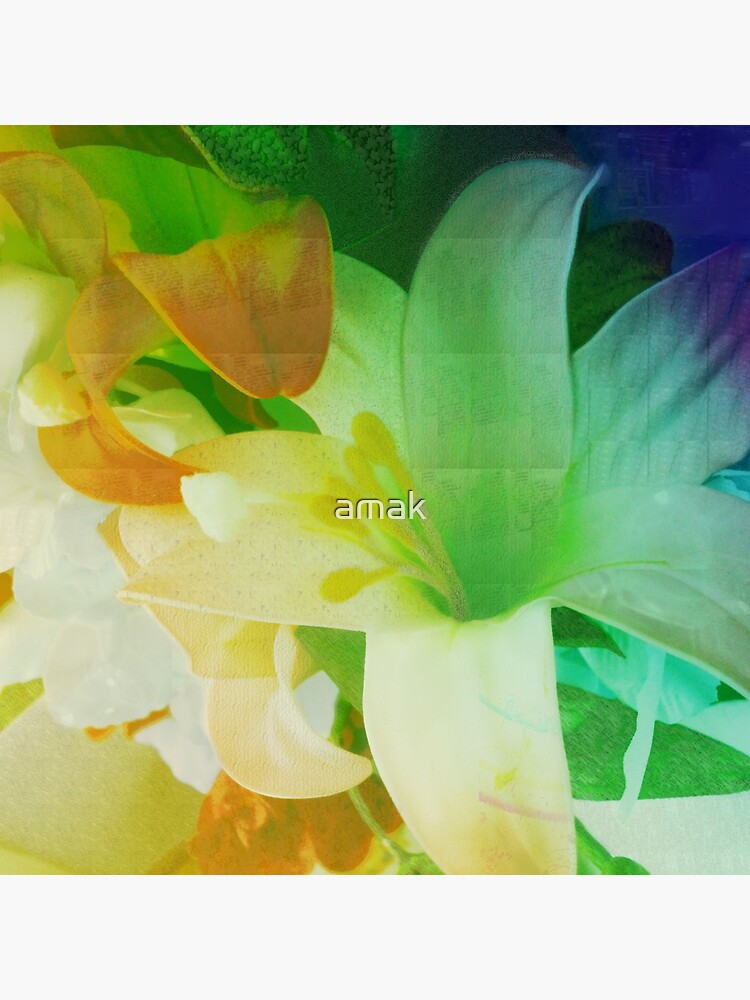 Texturized Flowers by amak