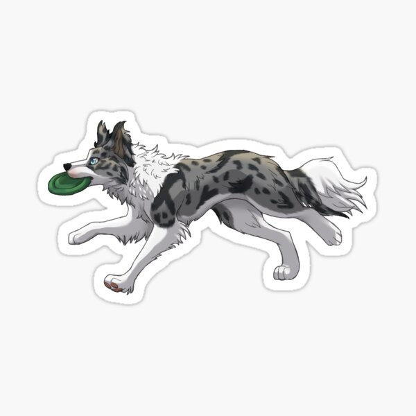 Item preview, Running Blue Merle Border Collie with Frisbee  designed and sold by Bamsdrawz.