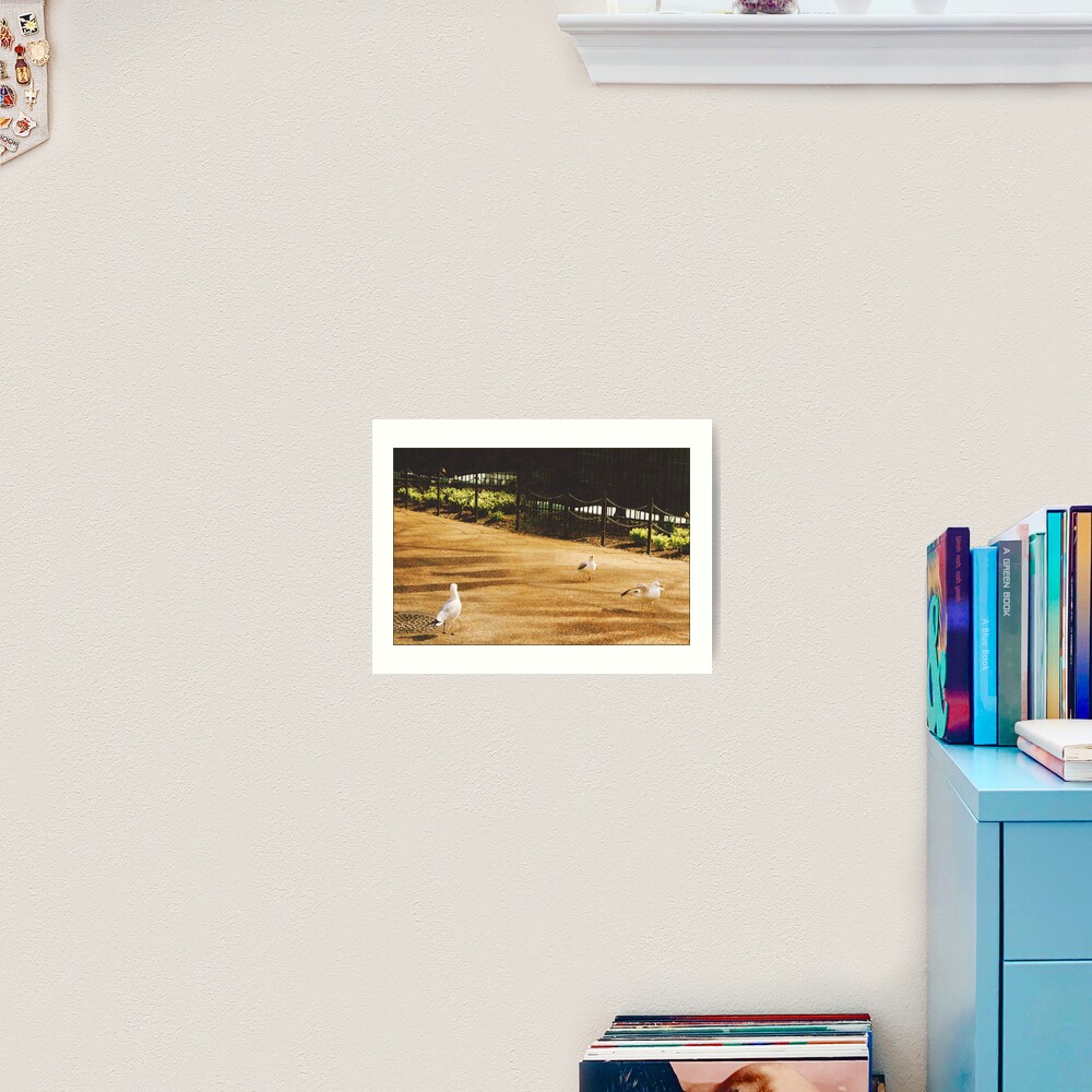 A Flock of Seagulls Art Print