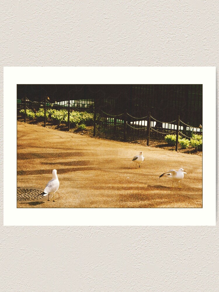 Alternate view of A Flock of Seagulls Art Print