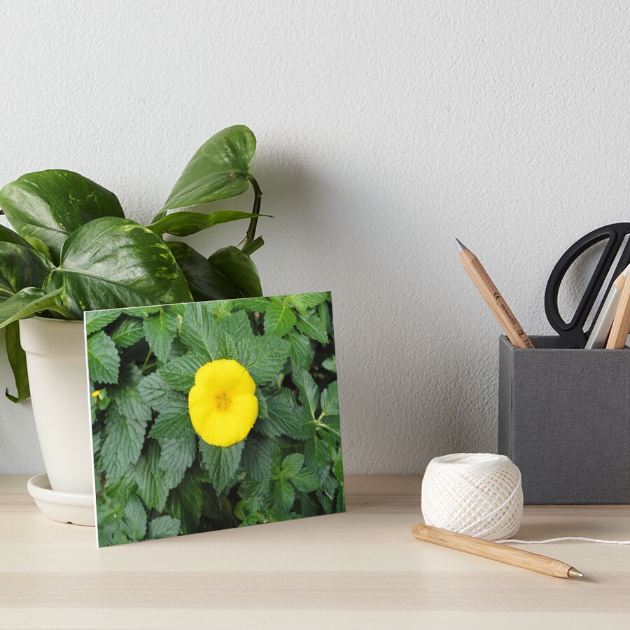 Yellow Art Board Print
