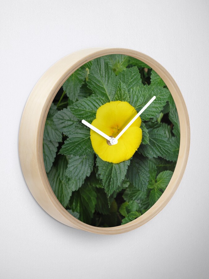 Alternate view of Yellow Clock