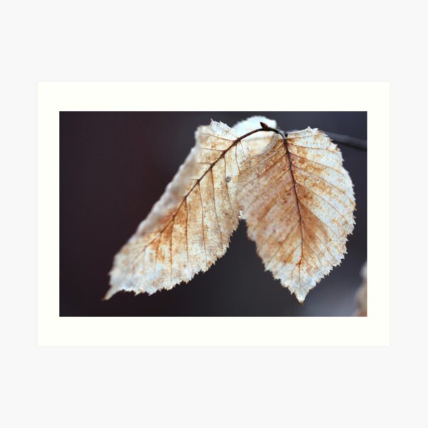one year later Art Print