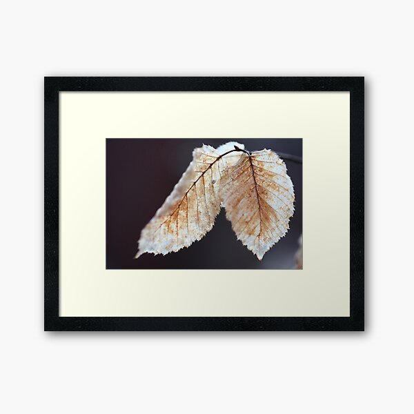 one year later Framed Art Print